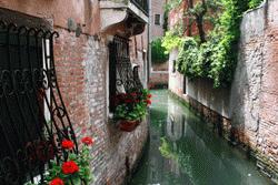 Walking around Venice and viewing the numerous small canals and colorful city scape.